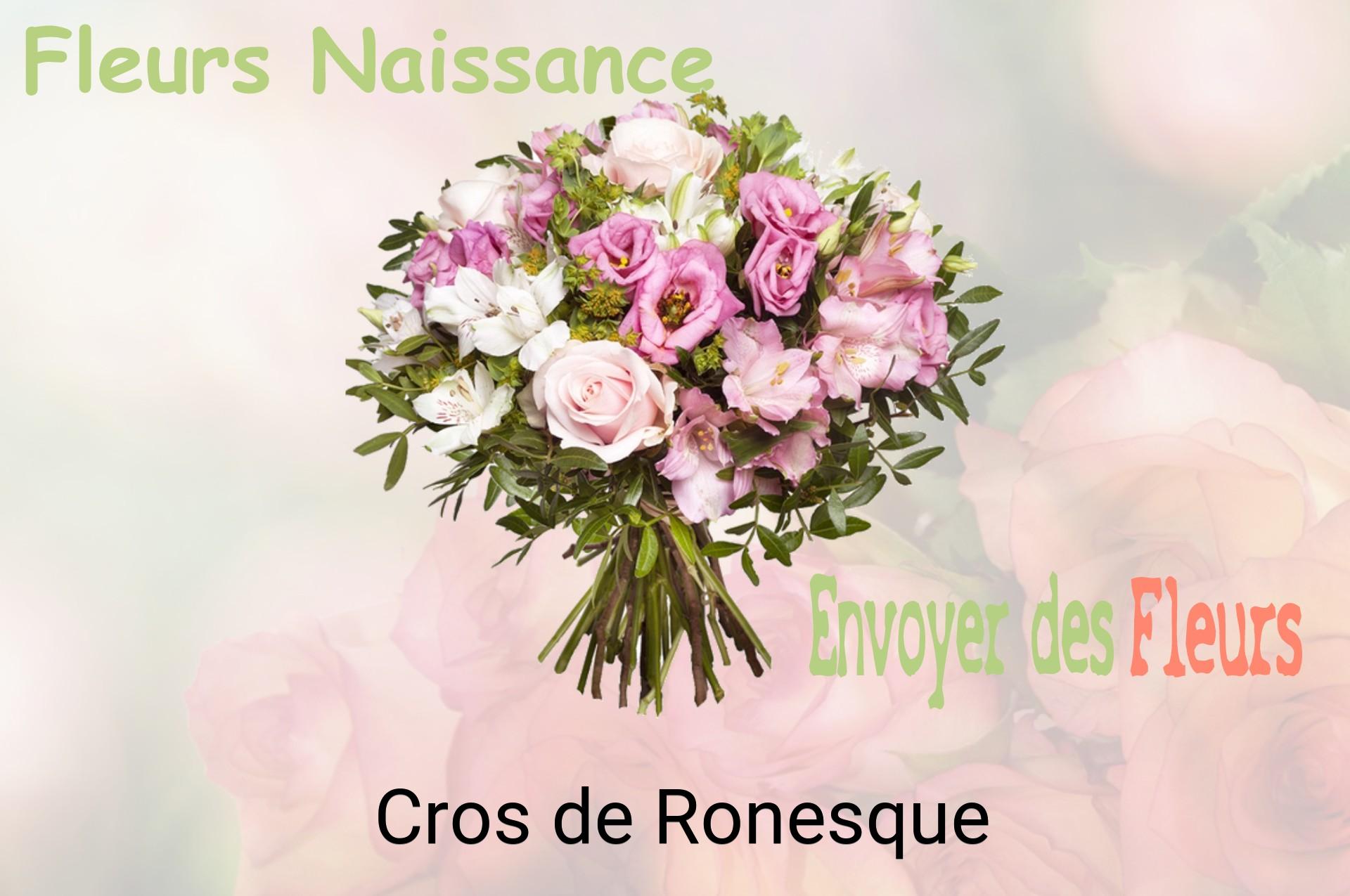 Bouquet de fleurs de naissance livré à Cros-de-Ronesque