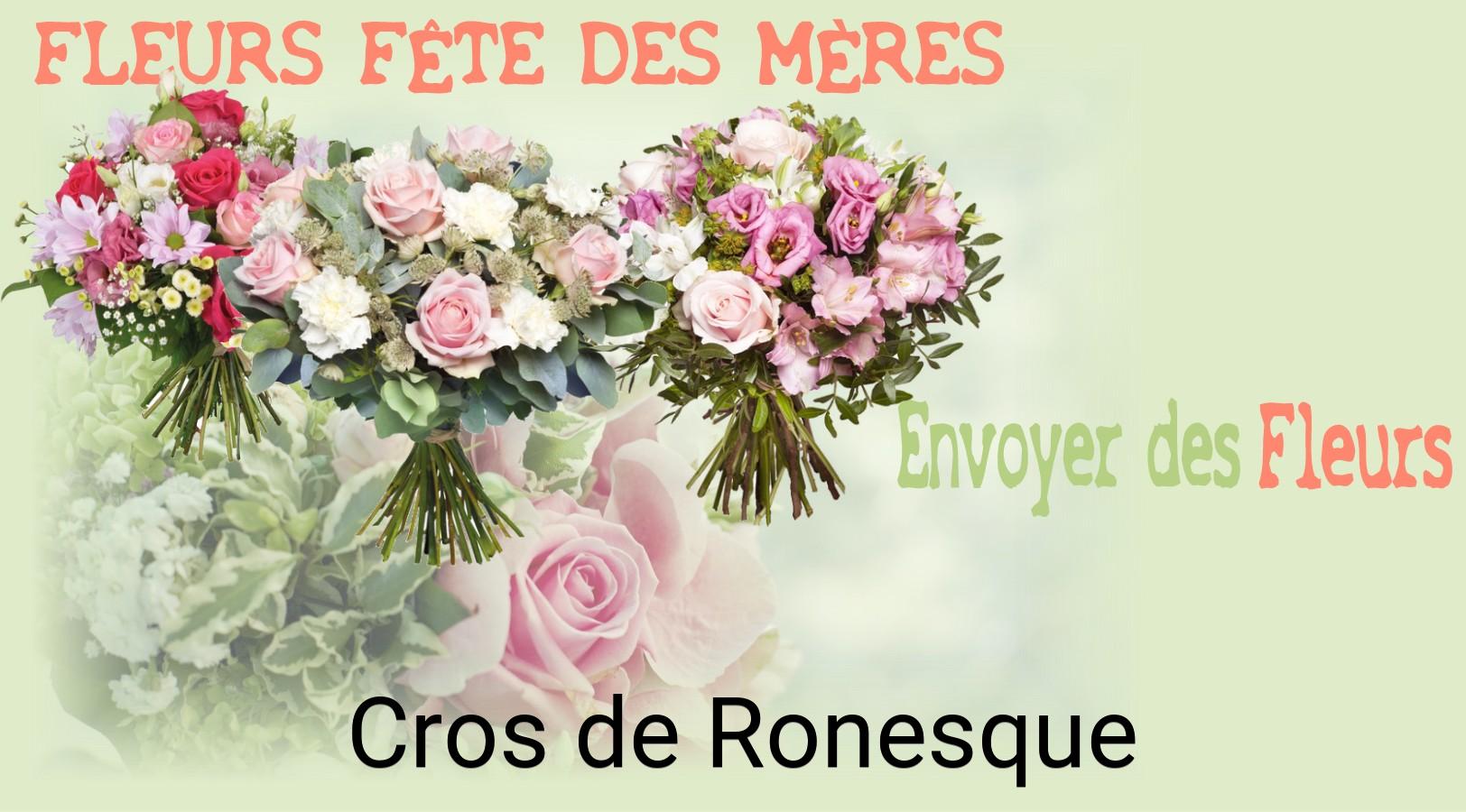Bouquet de Fête des Mères livré à Cros-de-Ronesque
